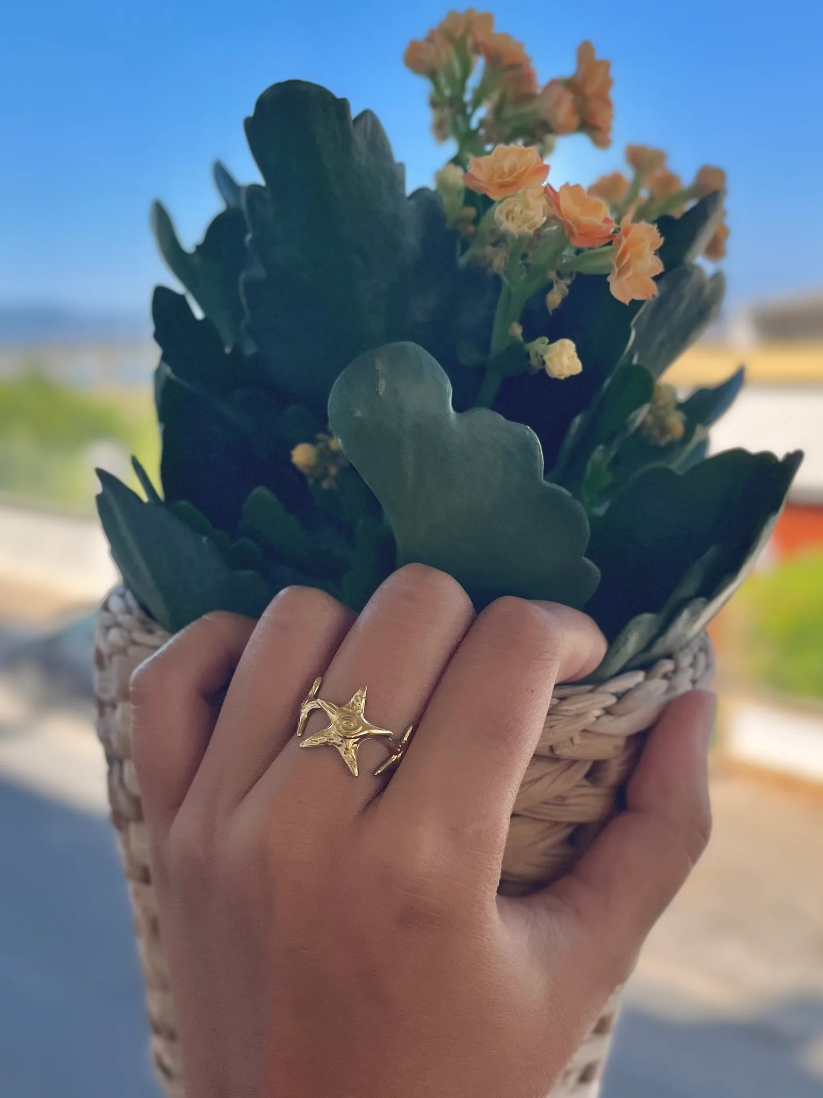 Anel Estrelado