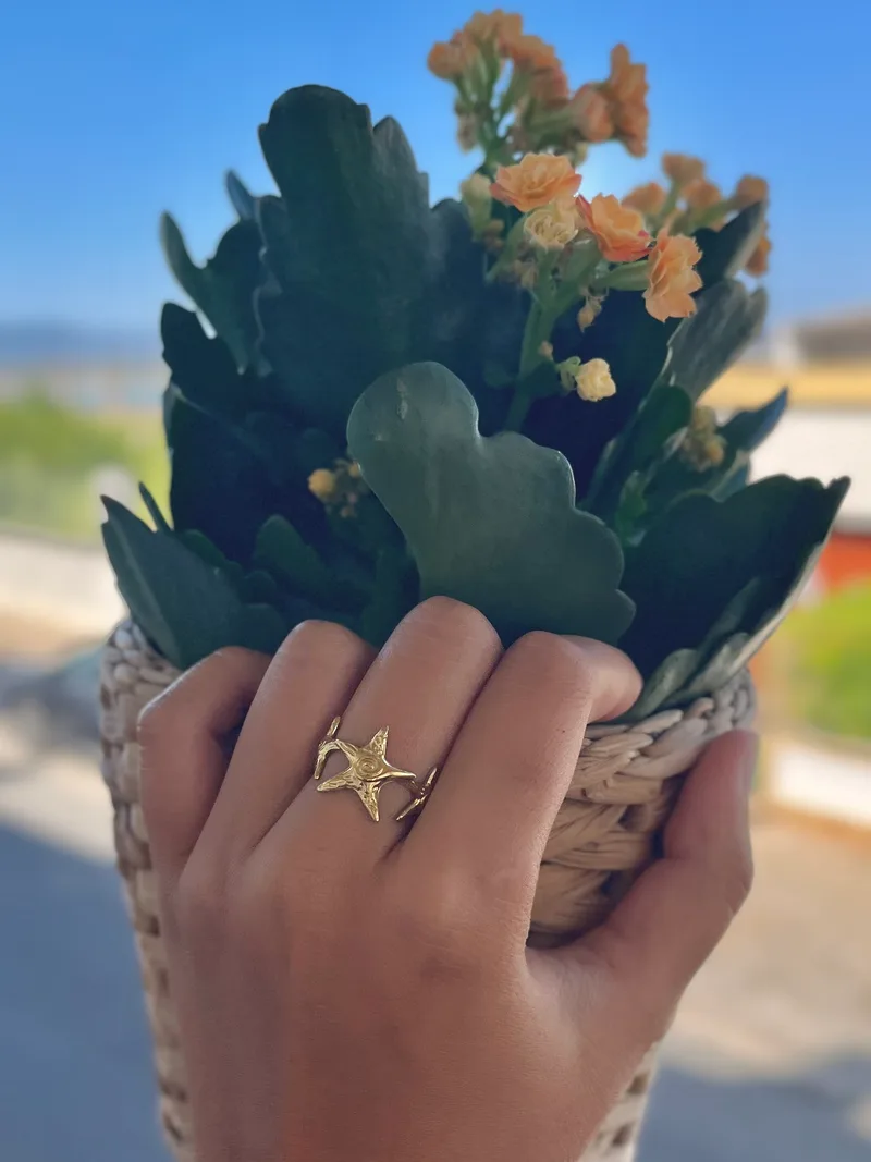 Anel Estrelado