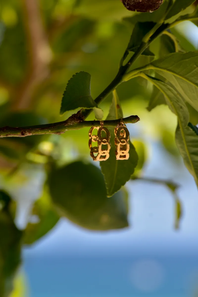 Argolas Elo Dourado